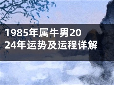 1985年属牛男2024年运势及运程详解