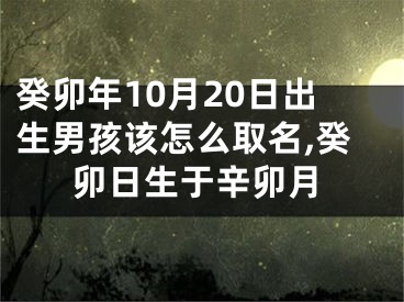 癸卯年10月20日出生男孩该怎么取名,癸卯日生于辛卯月