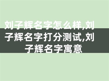 刘子辉名字怎么样,刘子辉名字打分测试,刘子辉名字寓意