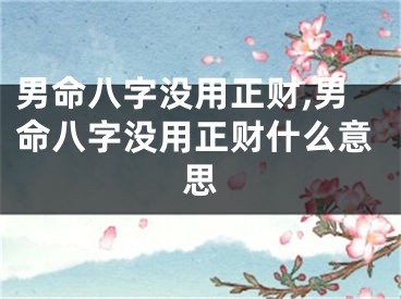 男命八字没用正财,男命八字没用正财什么意思