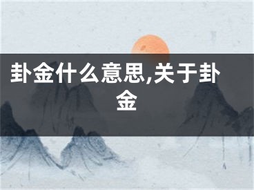 卦金什么意思,关于卦金