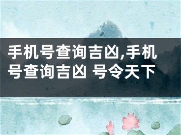 手机号查询吉凶,手机号查询吉凶 号令天下