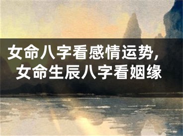 女命八字看感情运势,女命生辰八字看姻缘