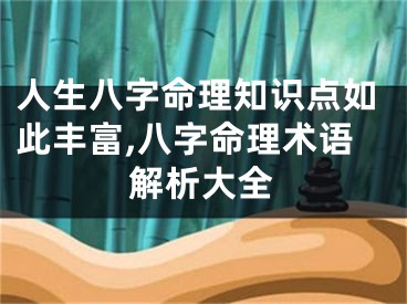 人生八字命理知识点如此丰富,八字命理术语解析大全