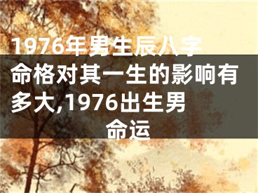 1976年男生辰八字命格对其一生的影响有多大,1976出生男命运