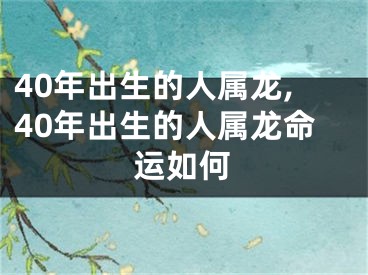 40年出生的人属龙,40年出生的人属龙命运如何