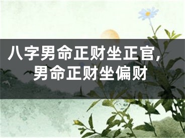 八字男命正财坐正官,男命正财坐偏财