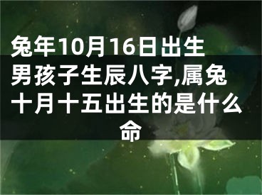 兔年10月16日出生男孩子生辰八字,属兔十月十五出生的是什么命