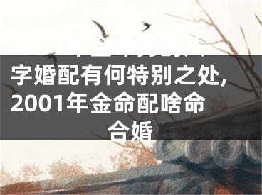 2001年金命男的八字婚配有何特别之处,2001年金命配啥命合婚