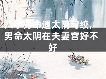 八字男命遇太阴勾绞,男命太阴在夫妻宫好不好