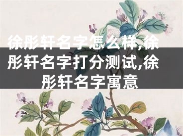 徐彤轩名字怎么样,徐彤轩名字打分测试,徐彤轩名字寓意