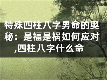 特殊四柱八字男命的奥秘：是福是祸如何应对,四柱八字什么命
