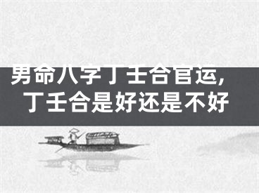 男命八字丁壬合官运,丁壬合是好还是不好