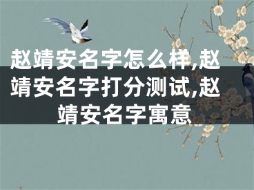 赵靖安名字怎么样,赵靖安名字打分测试,赵靖安名字寓意