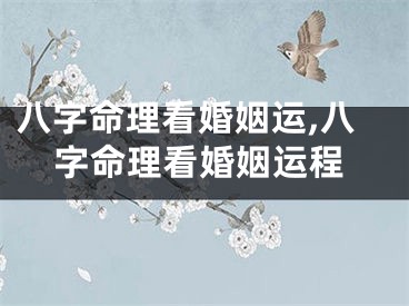 八字命理看婚姻运,八字命理看婚姻运程
