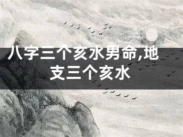 八字三个亥水男命,地支三个亥水