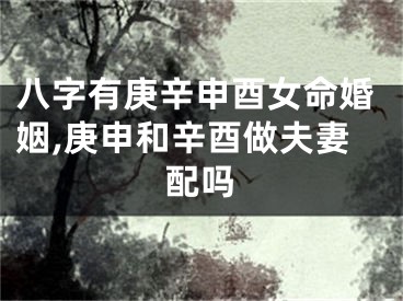 八字有庚辛申酉女命婚姻,庚申和辛酉做夫妻配吗