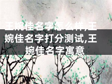 王婉佳名字怎么样,王婉佳名字打分测试,王婉佳名字寓意