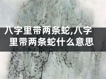 八字里带两条蛇,八字里带两条蛇什么意思