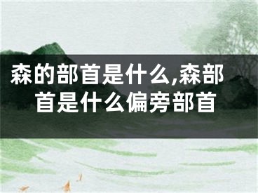森的部首是什么,森部首是什么偏旁部首
