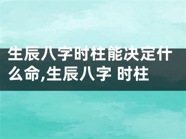 生辰八字时柱能决定什么命,生辰八字 时柱
