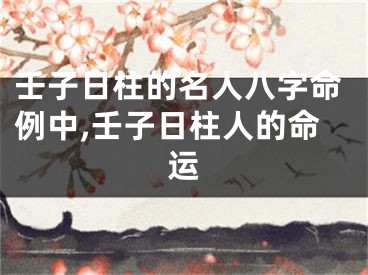 壬子日柱的名人八字命例中,壬子日柱人的命运