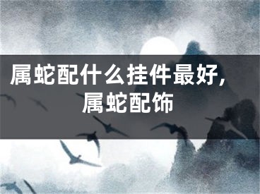 属蛇配什么挂件最好,属蛇配饰