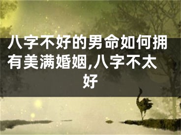 八字不好的男命如何拥有美满婚姻,八字不太好