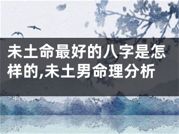 未土命最好的八字是怎样的,未土男命理分析