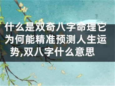 什么是双奇八字命理它为何能精准预测人生运势,双八字什么意思