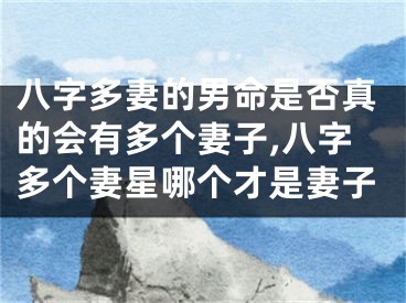 八字多妻的男命是否真的会有多个妻子,八字多个妻星哪个才是妻子
