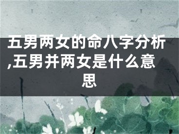 五男两女的命八字分析,五男并两女是什么意思