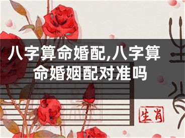 八字算命婚配,八字算命婚姻配对准吗