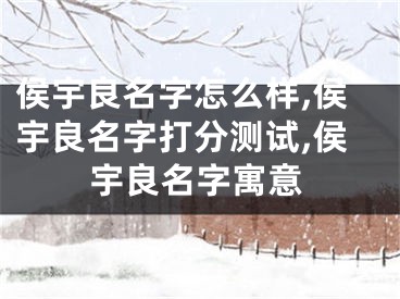 侯宇良名字怎么样,侯宇良名字打分测试,侯宇良名字寓意