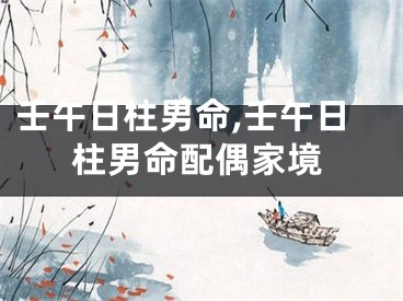 壬午日柱男命,壬午日柱男命配偶家境