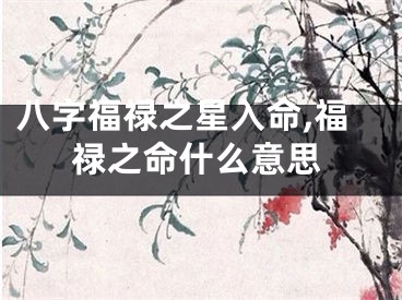 八字福禄之星入命,福禄之命什么意思