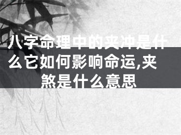 八字命理中的夹冲是什么它如何影响命运,夹煞是什么意思