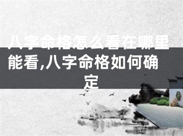 八字命格怎么看在哪里能看,八字命格如何确定