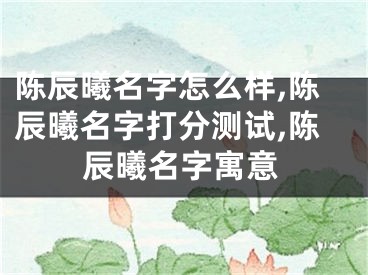 陈辰曦名字怎么样,陈辰曦名字打分测试,陈辰曦名字寓意