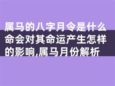 属马的八字月令是什么命会对其命运产生怎样的影响,属马月份解析