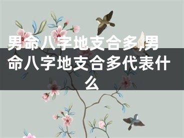 男命八字地支合多,男命八字地支合多代表什么