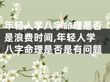 年轻人学八字命理是否是浪费时间,年轻人学八字命理是否是有问题