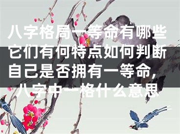 八字格局一等命有哪些它们有何特点如何判断自己是否拥有一等命,八字中一格什么意思