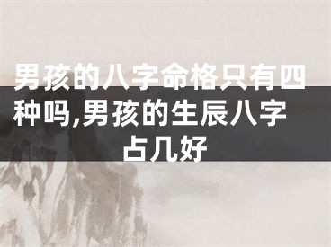 男孩的八字命格只有四种吗,男孩的生辰八字占几好