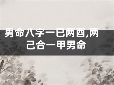 男命八字一巳两酉,两己合一甲男命