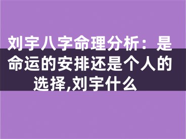 刘宇八字命理分析：是命运的安排还是个人的选择,刘宇什么
