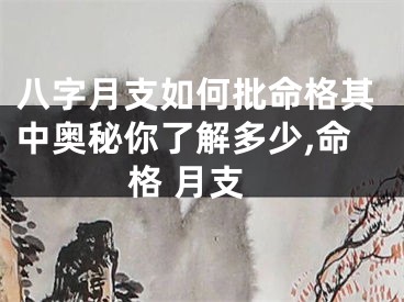 八字月支如何批命格其中奥秘你了解多少,命格 月支