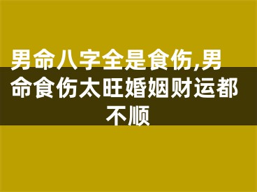 男命八字全是食伤,男命食伤太旺婚姻财运都不顺