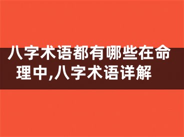 八字术语都有哪些在命理中,八字术语详解