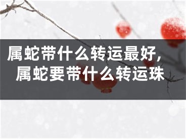 属蛇带什么转运最好,属蛇要带什么转运珠